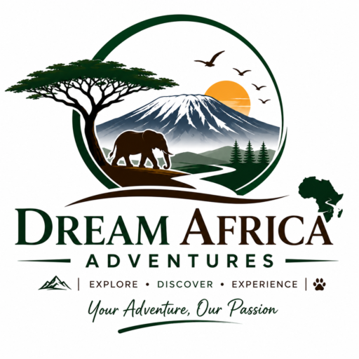logo-dream
