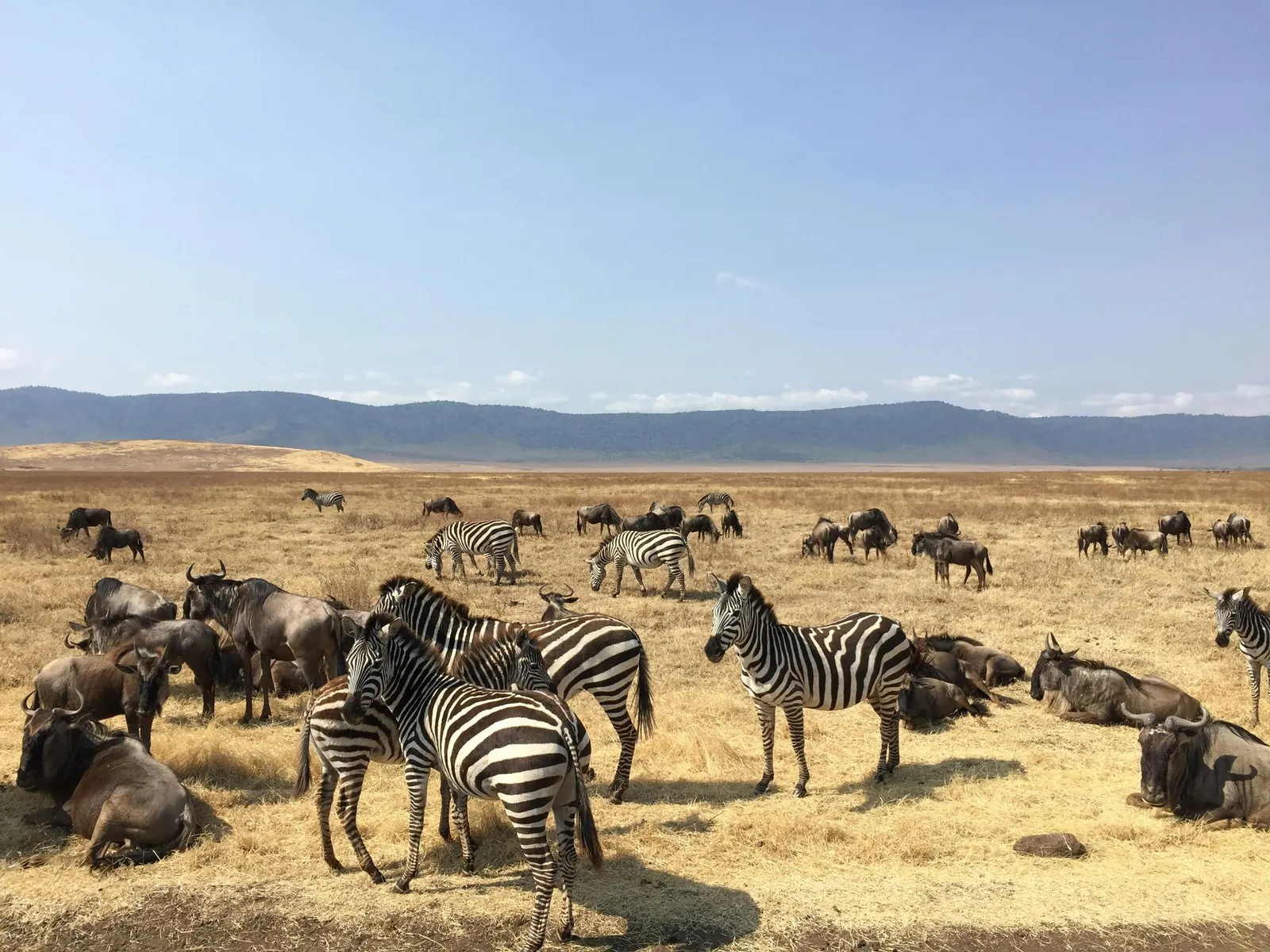 4 Days Tanzania Budget Camping Safari