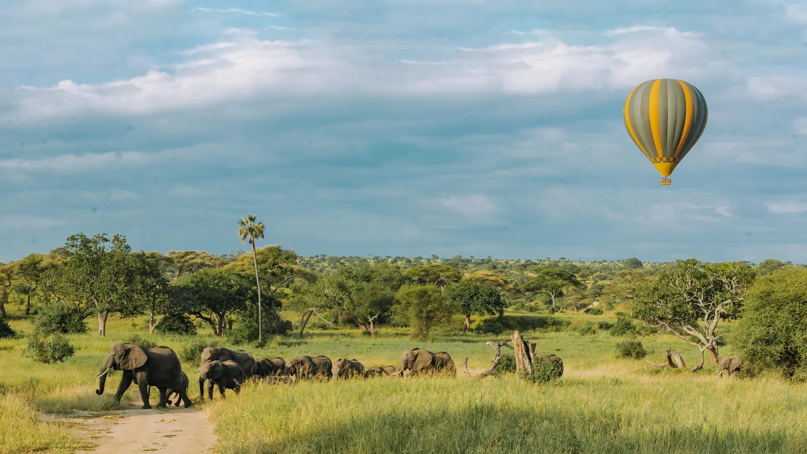 3 Days Serengeti Safari with Hot Air Balloon Option