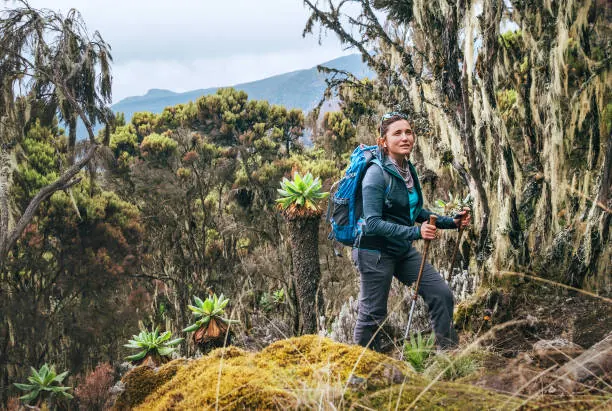 7 Days Northern Tanzania Complete Safari