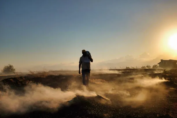 1 Day Arusha National Park Safari and Walking Experience
