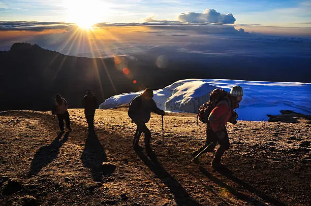 7 Days Lemosho Route Kilimanjaro Climb