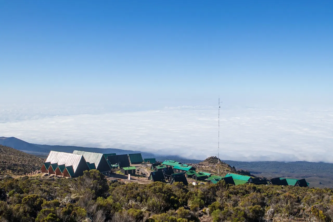 7 Days Rongai Route Kilimanjaro Climb