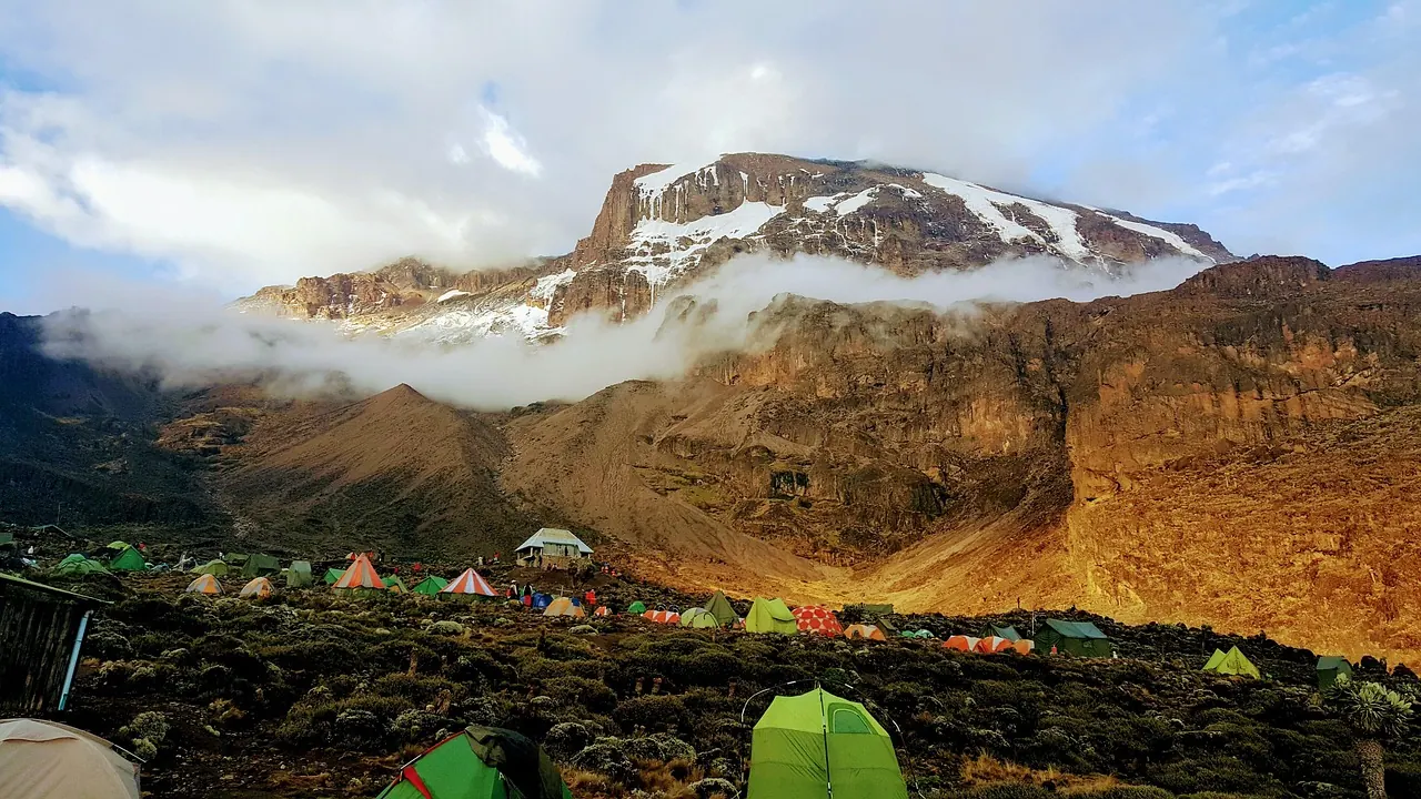 12 Days Kilimanjaro Lemosho Route and Safari Combo