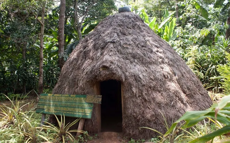 1 Day Materuni Waterfalls and Coffee Experience