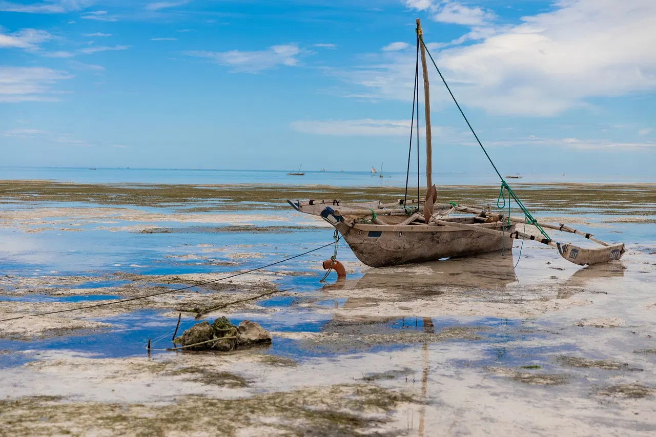 Zanzibar Travel Guide for First-time Visitors
