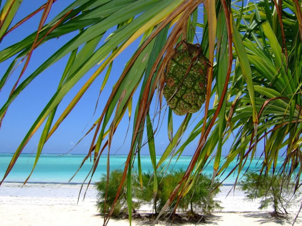 3 Day Tanzania Highlights Safari - Dream Africa Adventures