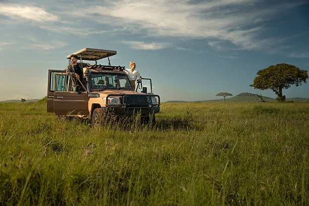 5 Day Luxury Tanzania Safari - Dream Africa Adventures