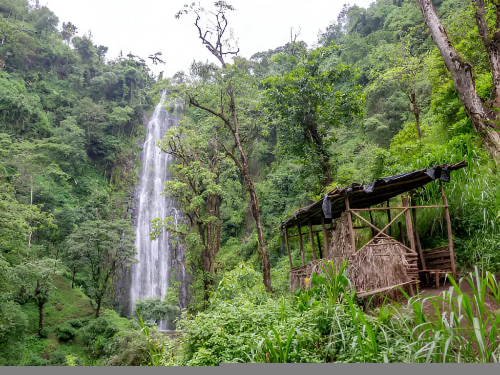 6 Day Mahale Chimpanzee and Lake Safari - Dream Africa Adventures