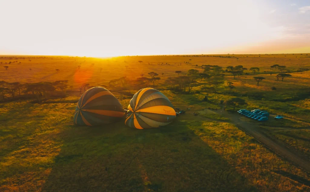 6 Day Tanzania Photographic Safari - Dream Africa Adventures