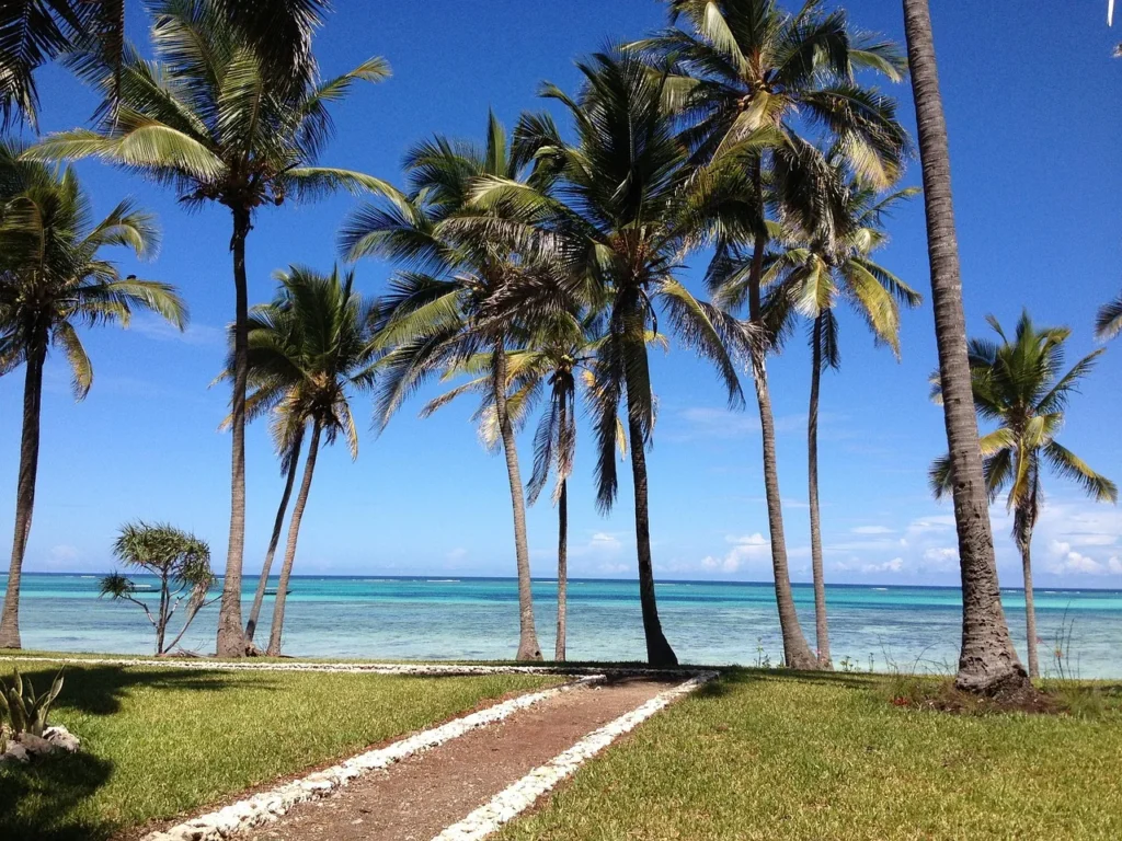 8 Day Safari and Zanzibar Escape - Dream Africa Adventures